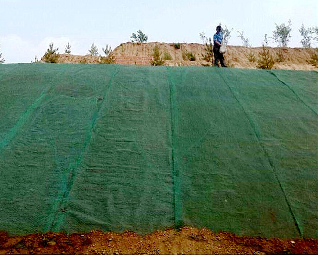 �c(di��n)���鿴Ԕ��(x��)��Ϣ��(bi��o)�}�����Sֲ���W(w��ng)ʩ�� ��x�Δ�(sh��)��2220