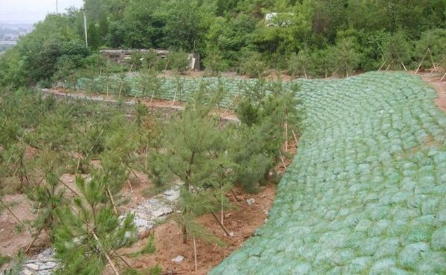 �c(di��n)���鿴Ԕ��(x��)��Ϣ��(bi��o)�}�����B(t��i)��ʩ�� ��x�Δ�(sh��)��1988