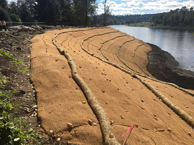 �c(di��n)���鿴Ԕ��(x��)��Ϣ��(bi��o)�}��ֲ��̺ʩ�� ��x�Δ�(sh��)��2002